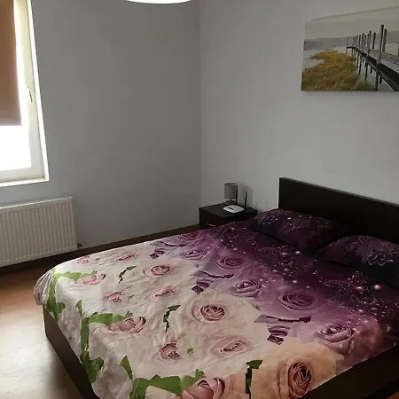 Apartment Rubin Si Safir